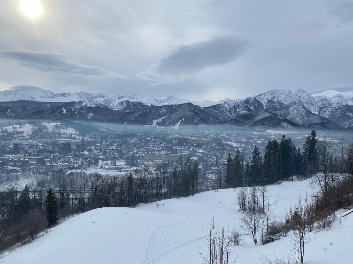 Niebianska Gran Daire Zakopane Dış mekan fotoğraf