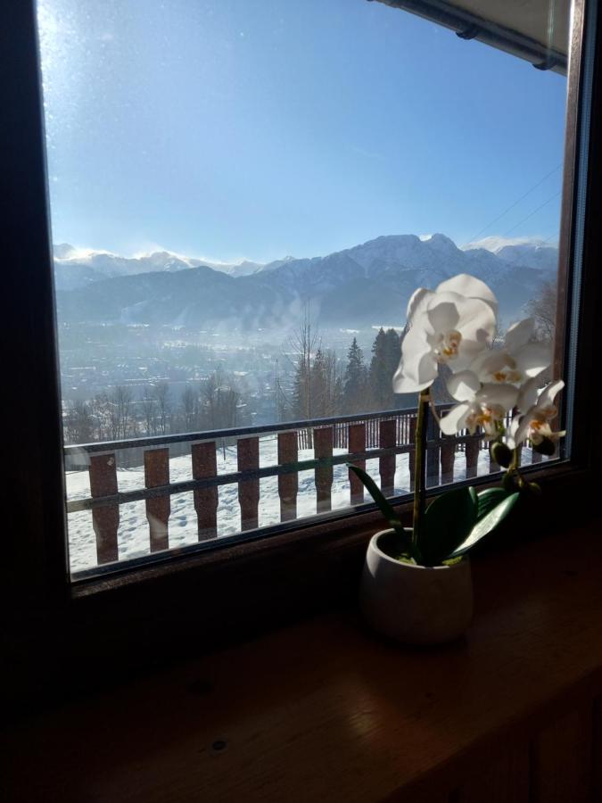 Niebianska Gran Daire Zakopane Dış mekan fotoğraf