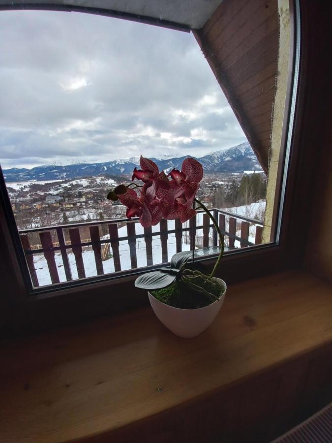 Niebianska Gran Daire Zakopane Dış mekan fotoğraf