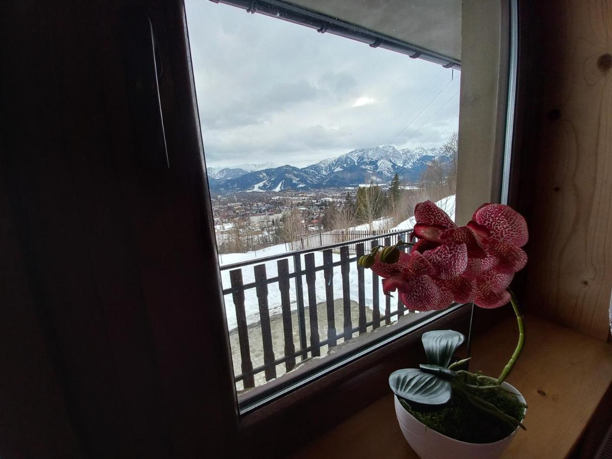 Niebianska Gran Daire Zakopane Dış mekan fotoğraf