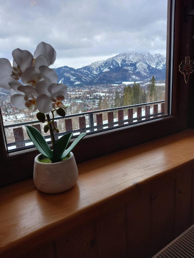 Niebianska Gran Daire Zakopane Dış mekan fotoğraf