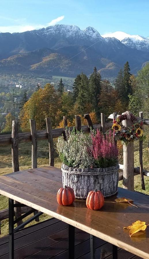 Niebianska Gran Daire Zakopane Dış mekan fotoğraf
